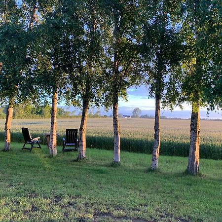 Stunning Romantic Cabin Close To Baltic See Idestrup Екстер'єр фото
