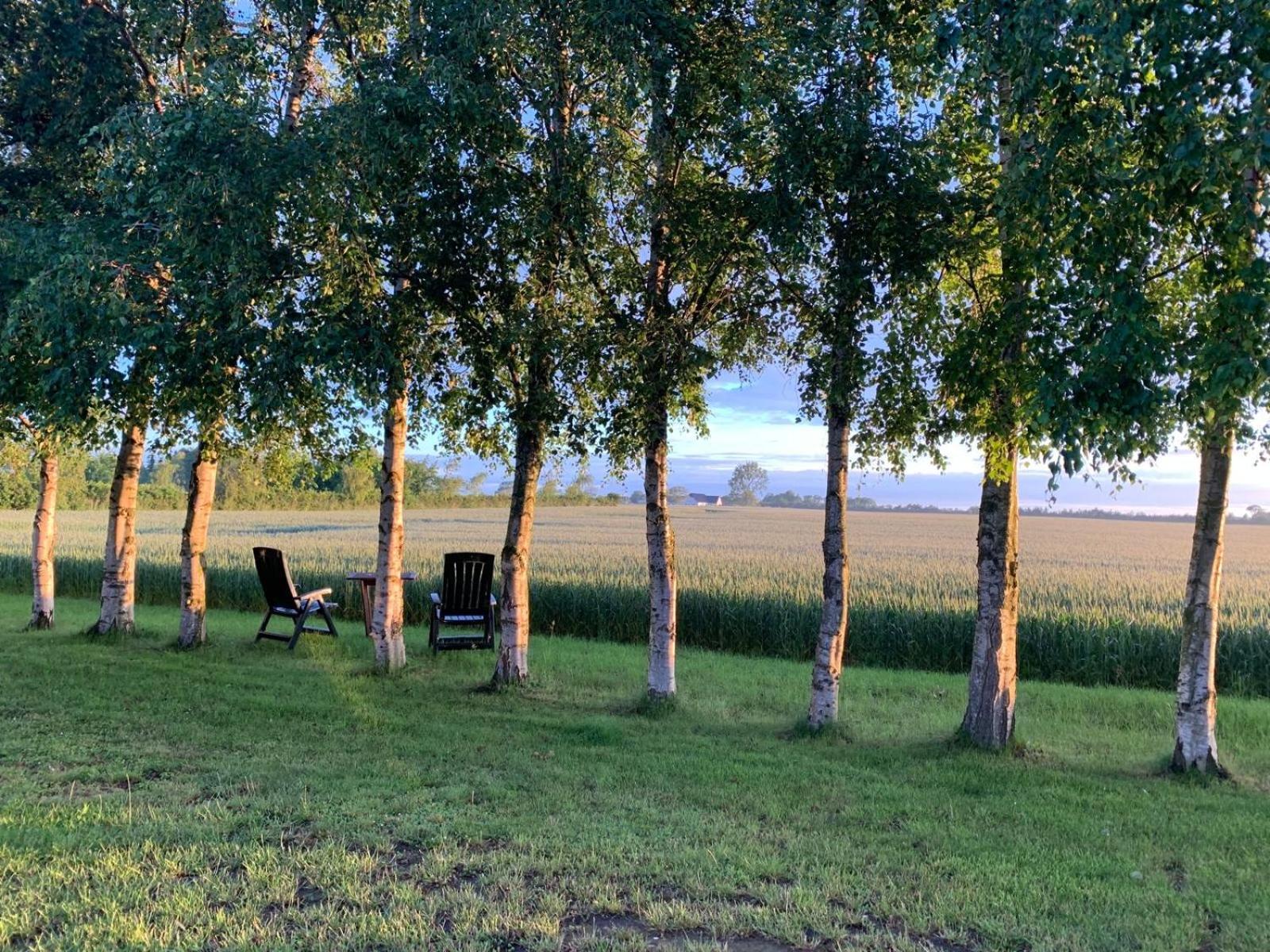 Stunning Romantic Cabin Close To Baltic See Idestrup Екстер'єр фото